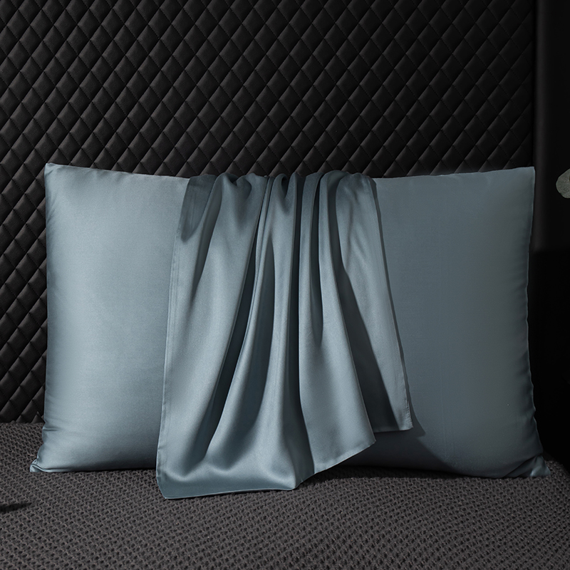 진짜 뽕나무 실크 베개 케이스 100% 실크 베개 케이 - Silk Pillowcase 리뷰 및 가격